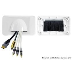Pro2 Bullnose Wall Plate - White