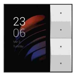 AKUBELA LINUX BASED CENTER PANEL WITH SCREEN AND 2-GANG SWITCH EU STANDARD 240V