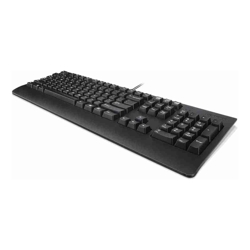 LENOVO TRADITIONAL USB KEYBOARD BLACK