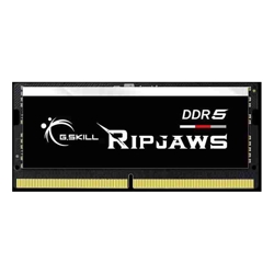 G.SKILL F5-5600S4645A48GX1-RS 48GB (1 x 48GB)/ DDR5 5600 MT/s / Timings 46-45-45-89/ Voltage 1.1V