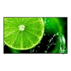 Sharp E498 49" 4K Commercial Display