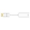8Ware DisplayPort M to HDMI female