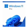 MICROSOFT RETAIL WINDOWS 11 PRO (64 BIT) - USB BOX