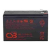 Powershield 10 yr 12V9AH Replacement Battery